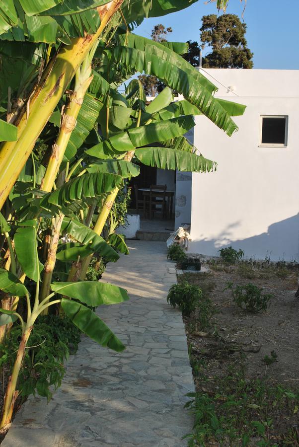 Anixi Apartment Astypalaia ภายนอก รูปภาพ