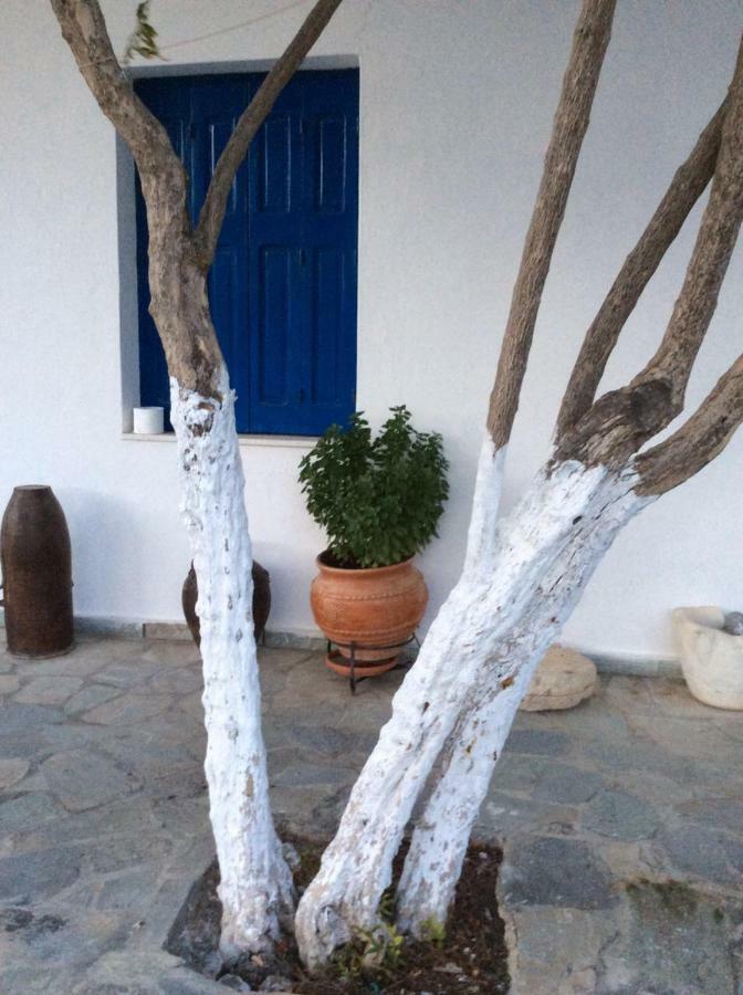 Anixi Apartment Astypalaia ภายนอก รูปภาพ